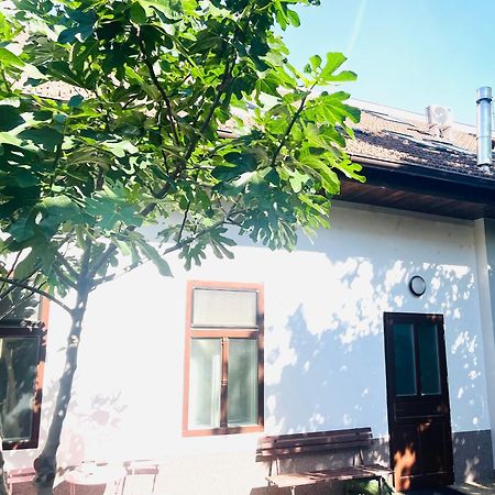 Jokai Apartman Комарно Экстерьер фото